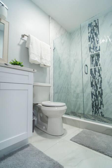 Grey Novo Studio + Free-Parking&Wifi タンパ エクステリア 写真