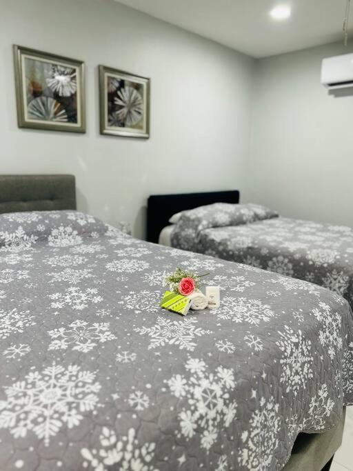 Grey Novo Studio + Free-Parking&Wifi タンパ エクステリア 写真